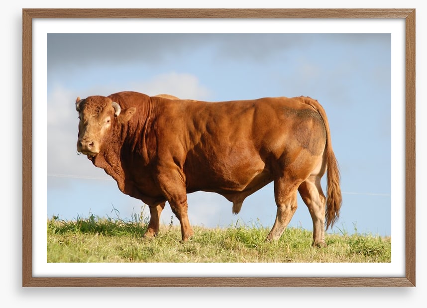 Agriculture