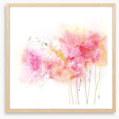 Watercolour carnations