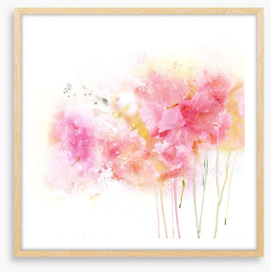 Watercolour carnations