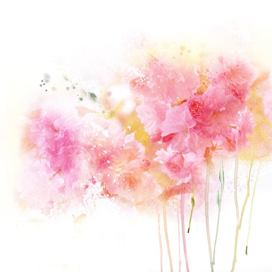Watercolour carnations