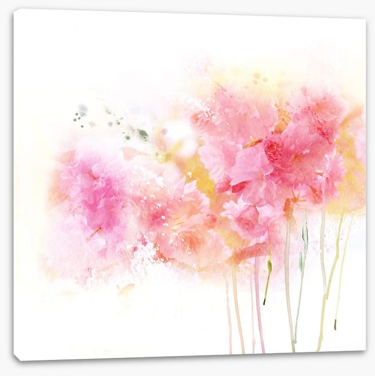 Watercolour carnations