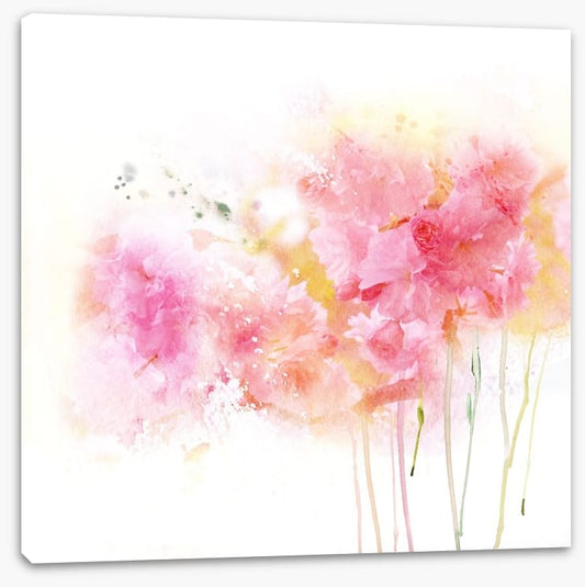 Watercolour carnations