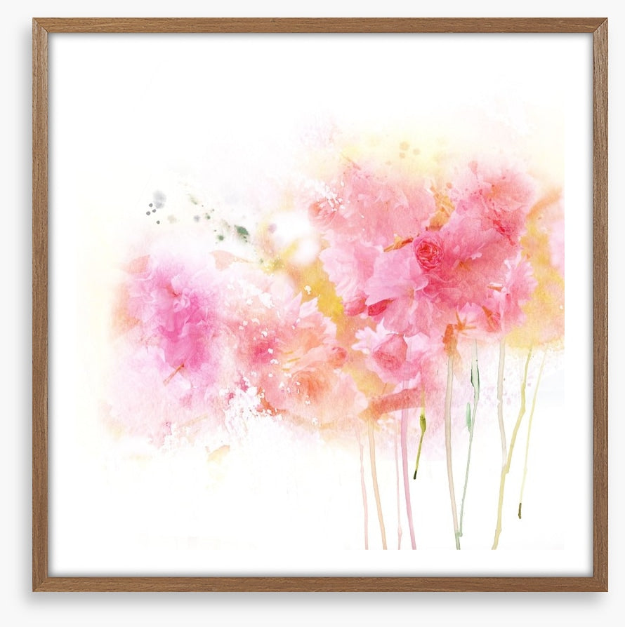 Watercolour carnations