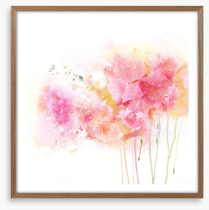 Watercolour carnations