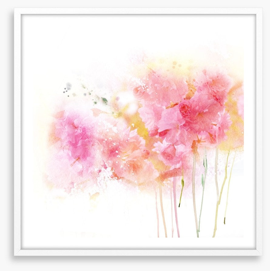 Watercolour carnations