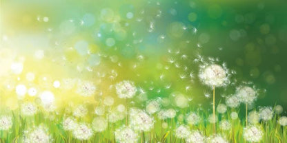 Dandelion wishes