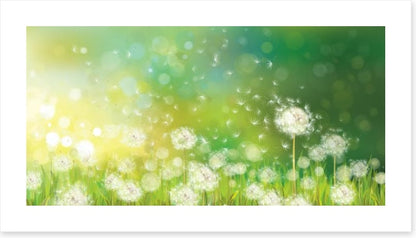 Dandelion wishes