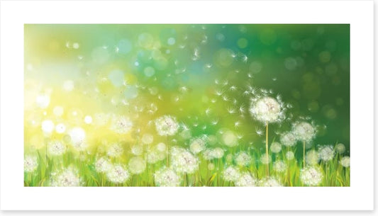 Dandelion wishes