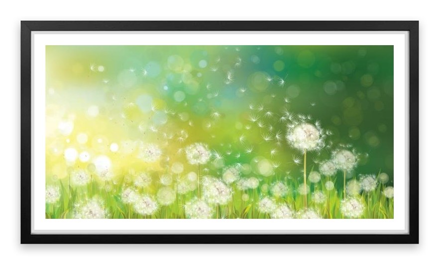 Dandelion wishes