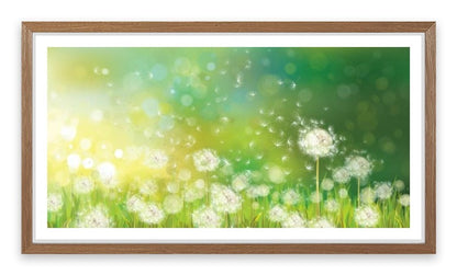 Dandelion wishes