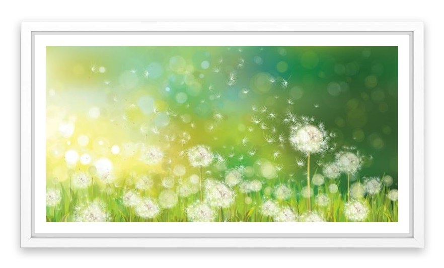 Dandelion wishes