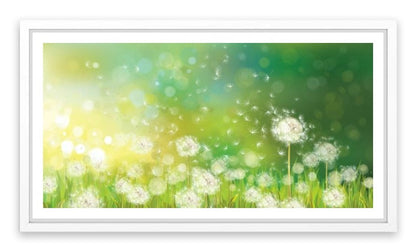 Dandelion wishes