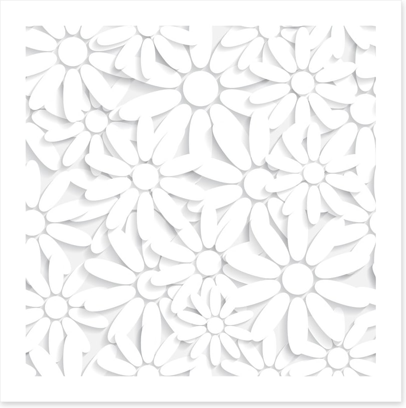 Daisy delight