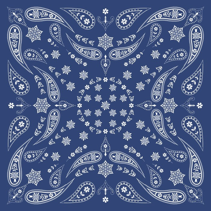 Paisley