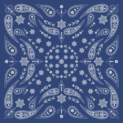 Paisley