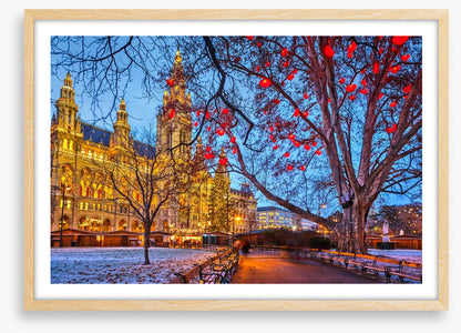 Vienna town hall