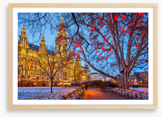 Vienna town hall