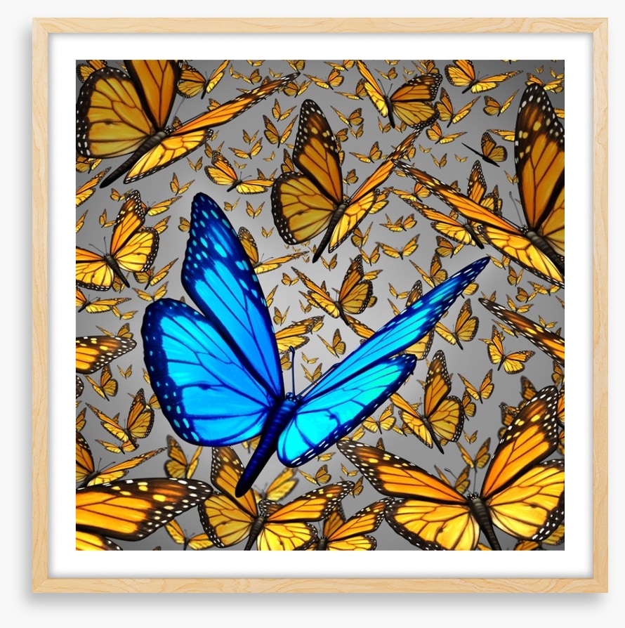Lord of the butterflies
