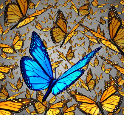 Lord of the butterflies