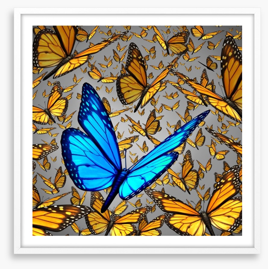 Lord of the butterflies
