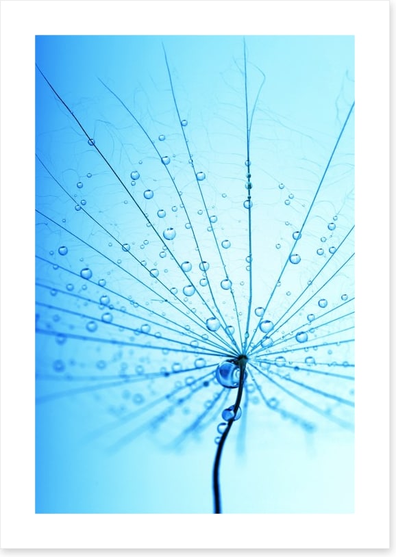 Droplets