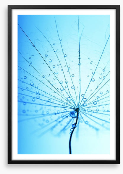 Droplets