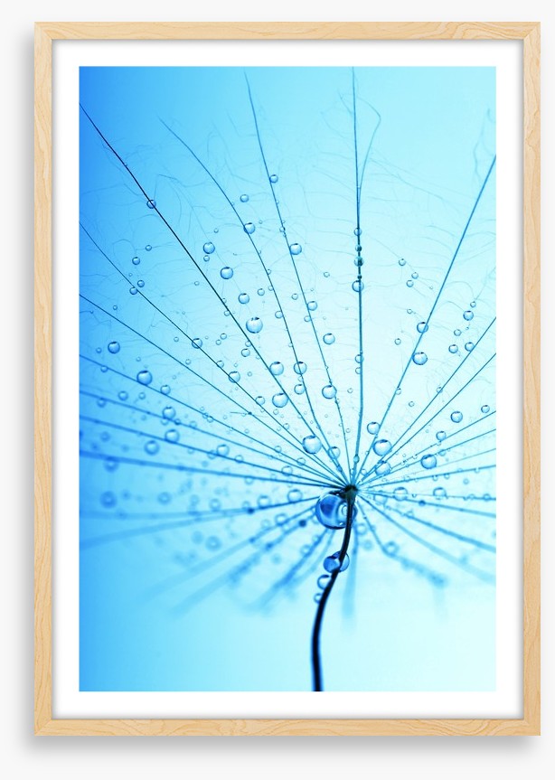Droplets