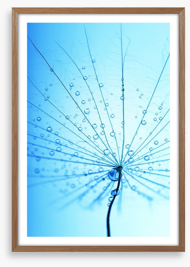 Droplets