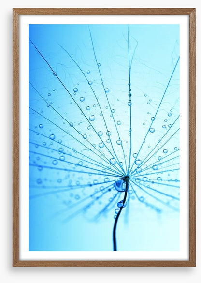 Droplets