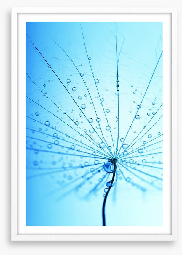 Droplets