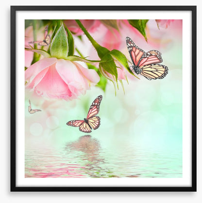 Butterflies and roses