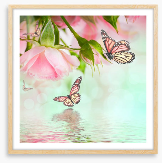 Butterflies and roses