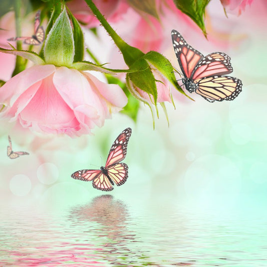 Butterflies and roses