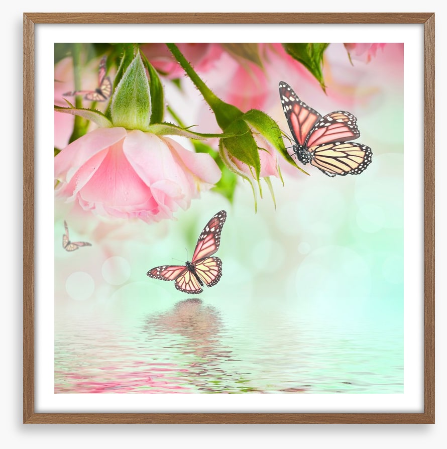 Butterflies and roses
