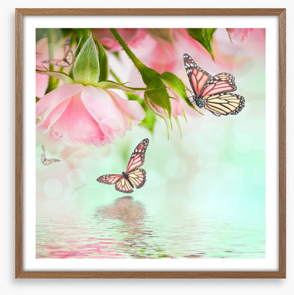 Butterflies and roses
