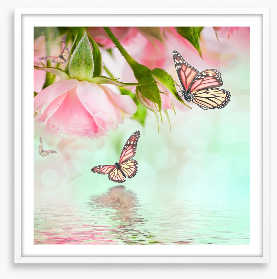 Butterflies and roses