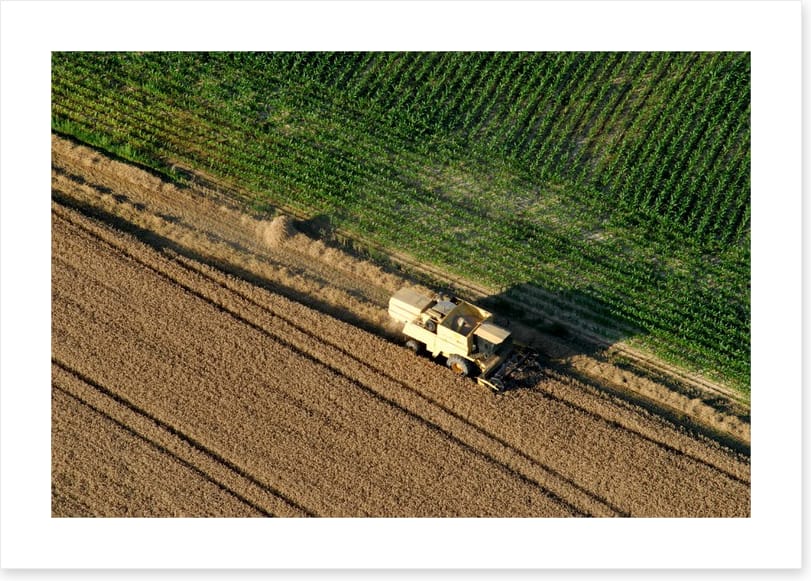 Agriculture