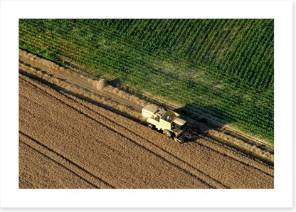 Agriculture