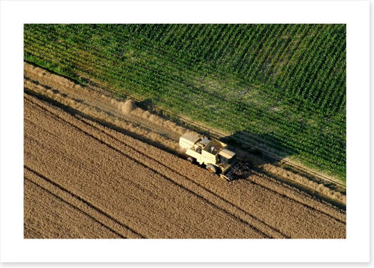 Agriculture