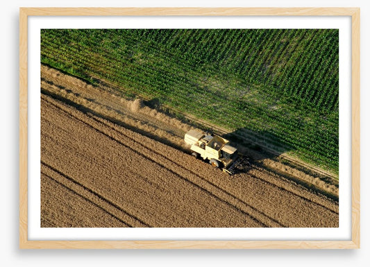 Agriculture