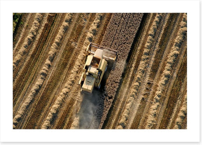 Agriculture
