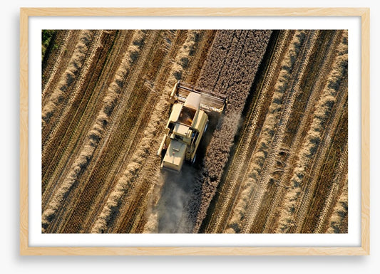 Agriculture