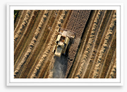 Agriculture