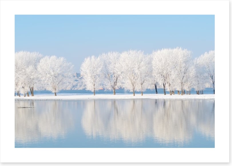 Winter reflections
