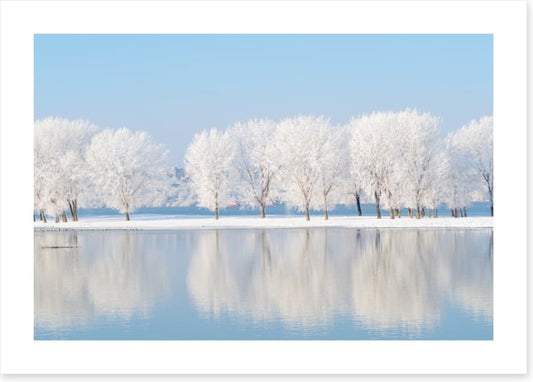 Winter reflections
