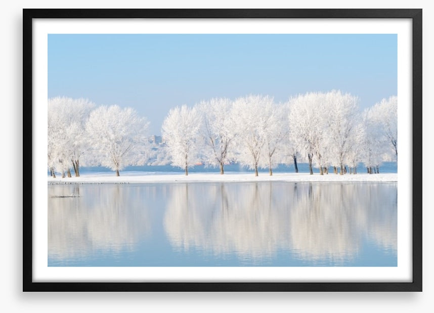 Winter reflections
