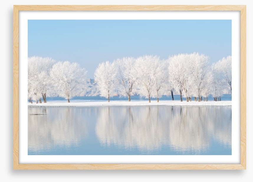 Winter reflections