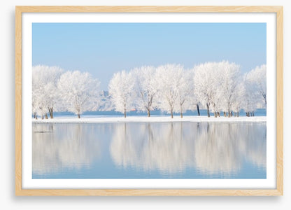 Winter reflections