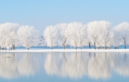Winter reflections