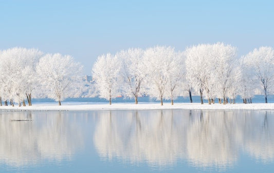 Winter reflections